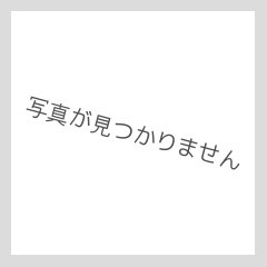 【PSA10】ポケモンだいすきクラブ (SR) {087/080} [xy2]