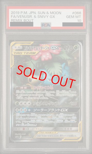 PSA10】 フシギバナ&ツタージャGX SA (SR) {066/064} [SM11a] - magi通販【ポケモンカード専門】