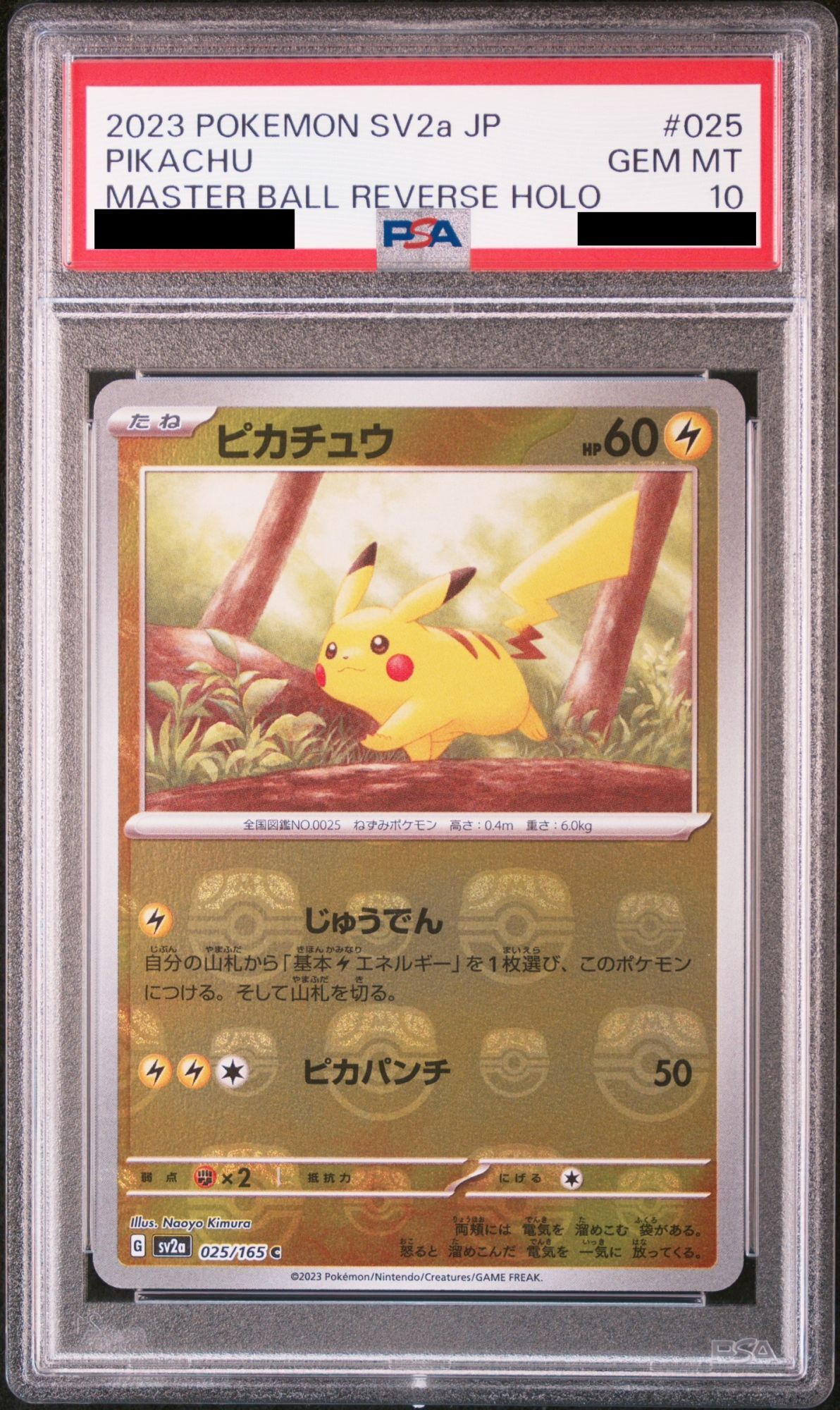 PSA10】ピカチュウ(マスターボールミラー) (C) {025/165} [SV2a] - magi通販【ポケモンカード専門】