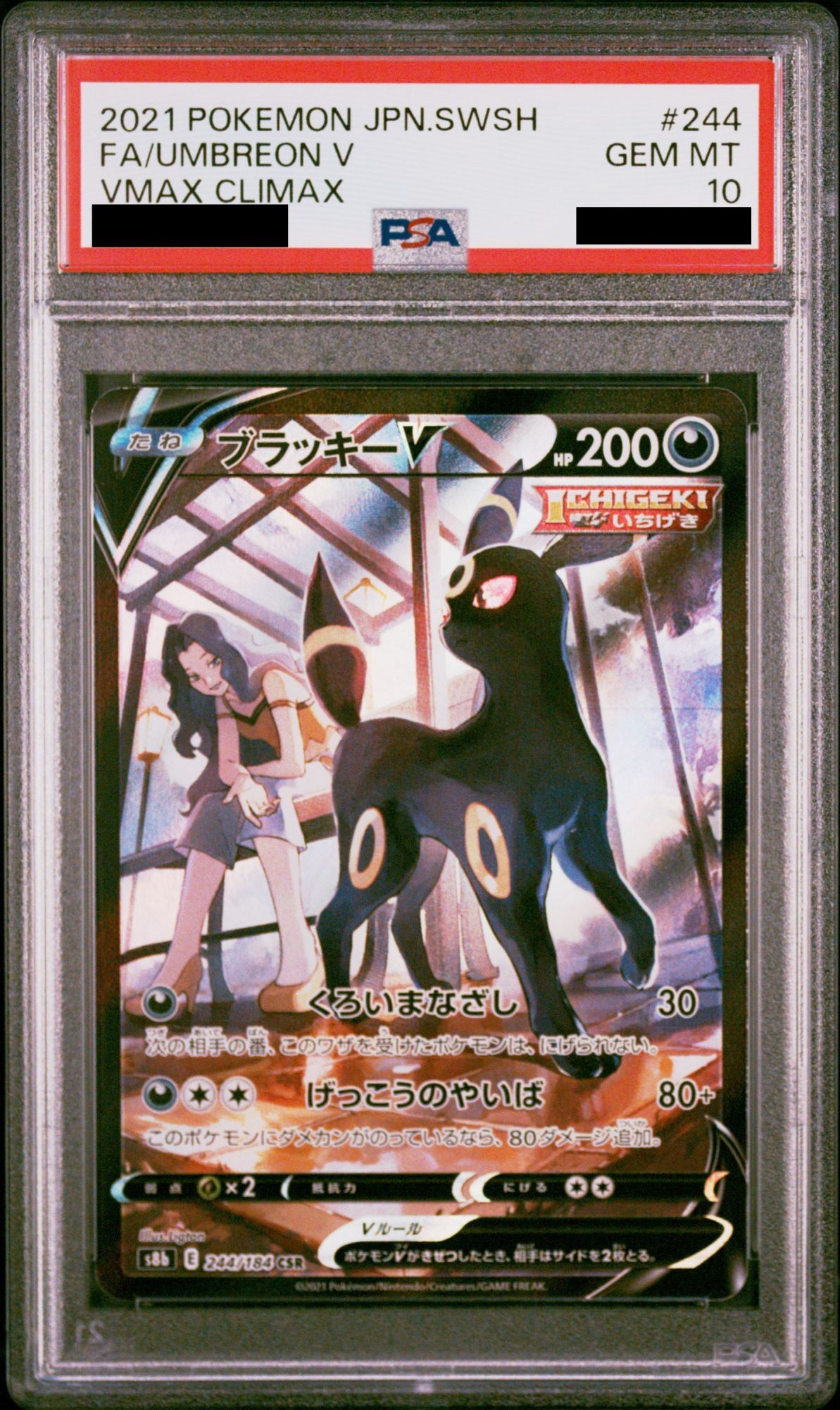 【PSA10】ブラッキーV (CSR) {244/184} [S8b]